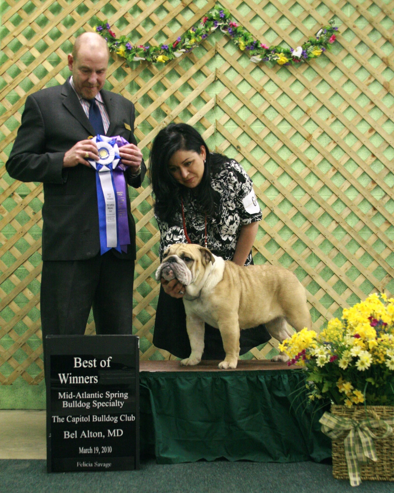 Best of Winners