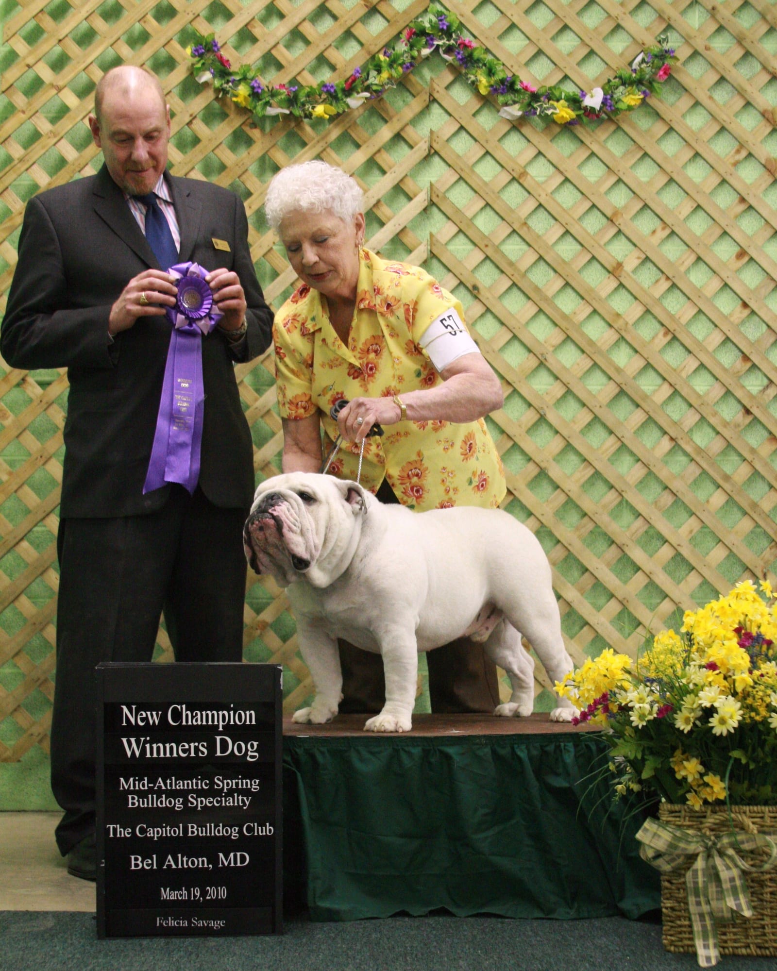 Winners Dog