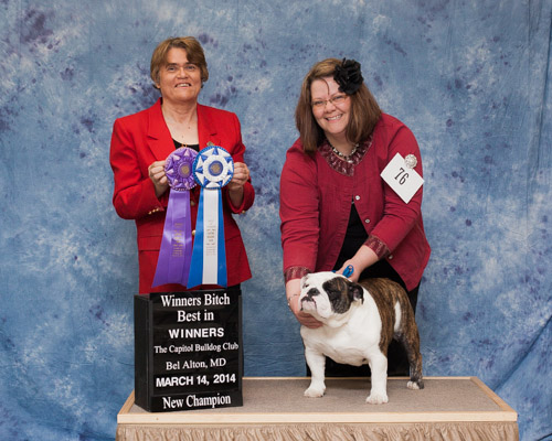 Best of Winners