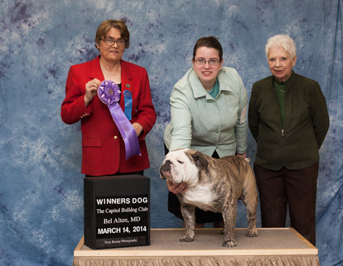Winners Dog