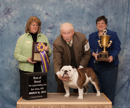 Best of Breed