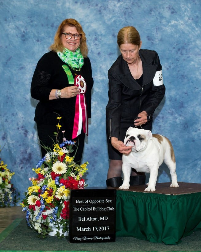 Best of Opposite Sex