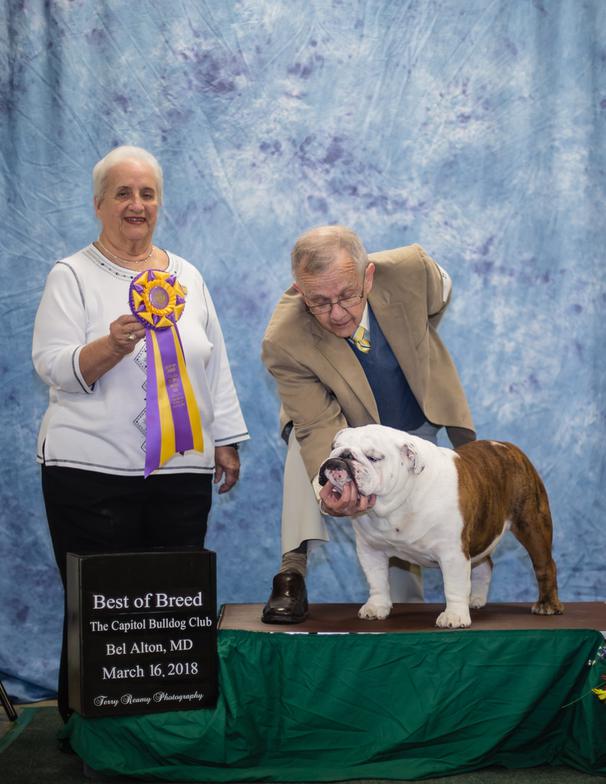 Best of Breed 2018