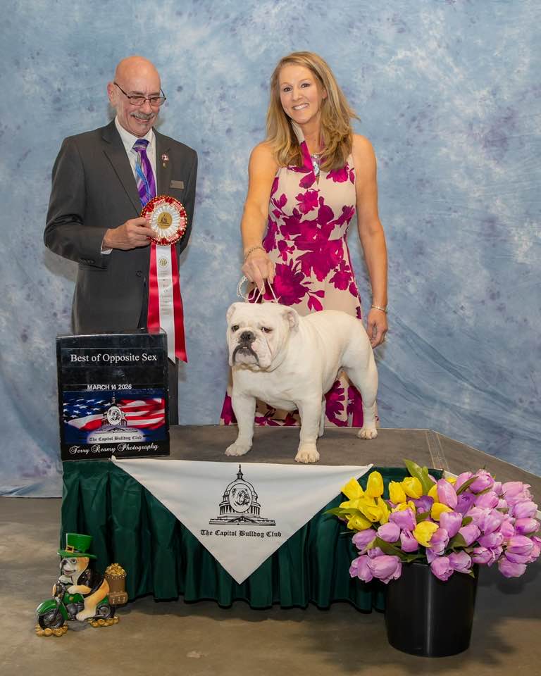 Best of Opposite Sex